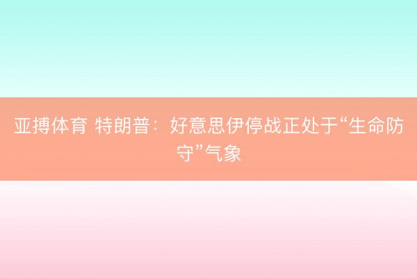 亚搏体育 特朗普：好意思伊停战正处于“生命防守”气象