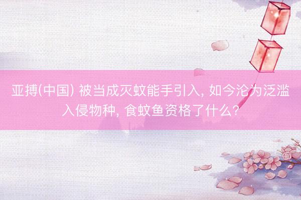 亚搏(中国) 被当成灭蚊能手引入， 如今沦为泛滥入侵物种， 食蚊鱼资格了什么?
