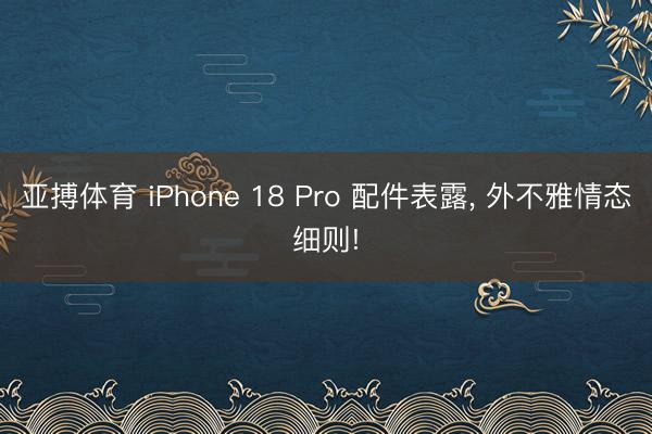 亚搏体育 iPhone 18 Pro 配件表露， 外不雅情态细则!