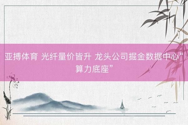 亚搏体育 光纤量价皆升 龙头公司掘金数据中心“算力底座”