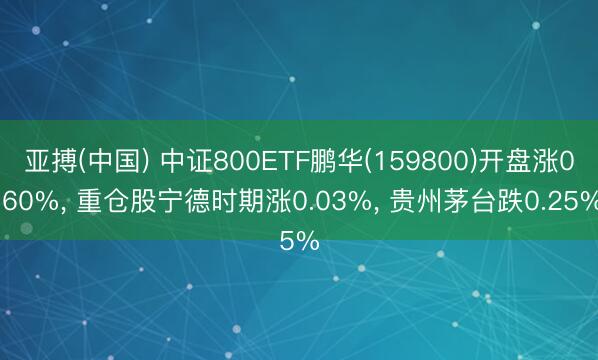 亚搏(中国) 中证800ETF鹏华(159800)开盘涨0.60%， 重仓股宁德时期涨0.03%， 贵州茅台跌0.25%
