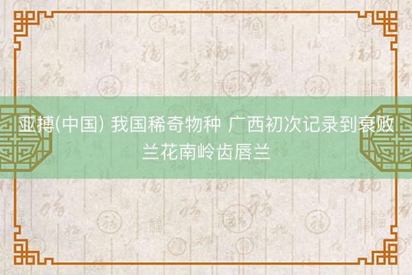 亚搏(中国) 我国稀奇物种 广西初次记录到衰败兰花南岭齿唇兰