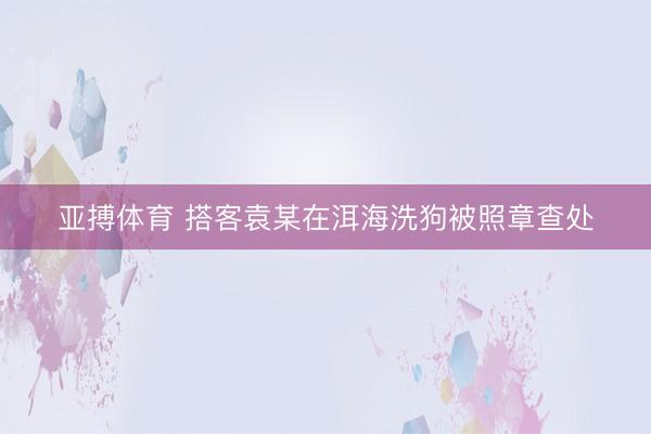 亚搏体育 搭客袁某在洱海洗狗被照章查处