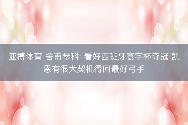 亚搏体育 舍甫琴科: 看好西班牙寰宇杯夺冠 凯恩有很大契机得回最好弓手