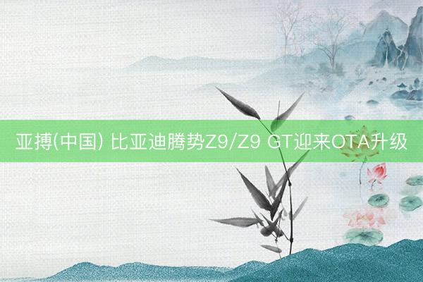 亚搏(中国) 比亚迪腾势Z9/Z9 GT迎来OTA升级
