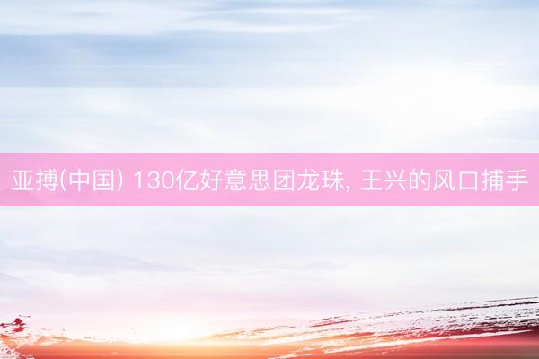 亚搏(中国) 130亿好意思团龙珠， 王兴的风口捕手