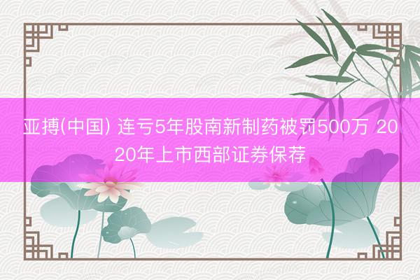 亚搏(中国) 连亏5年股南新制药被罚500万 2020年上市西部证券保荐