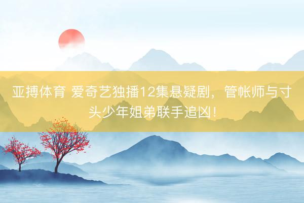 亚搏体育 爱奇艺独播12集悬疑剧，管帐师与寸头少年姐弟联手追凶！