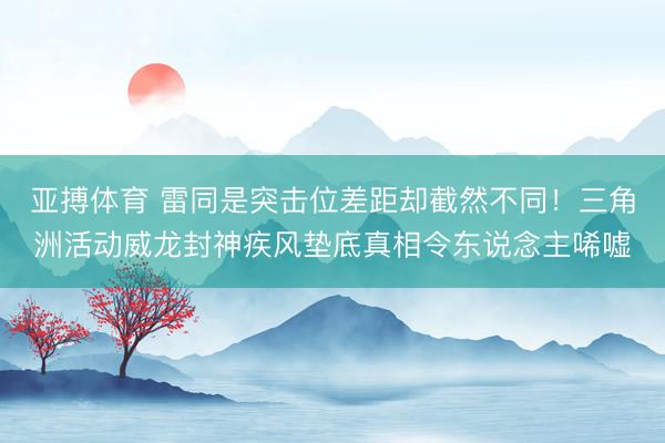亚搏体育 雷同是突击位差距却截然不同！三角洲活动威龙封神疾风垫底真相令东说念主唏嘘