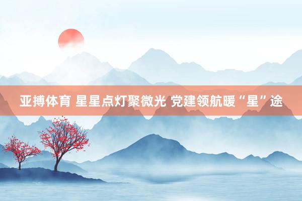 亚搏体育 星星点灯聚微光 党建领航暖“星”途