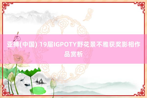 亚搏(中国) 19届IGPOTY野花景不雅获奖影相作品赏析